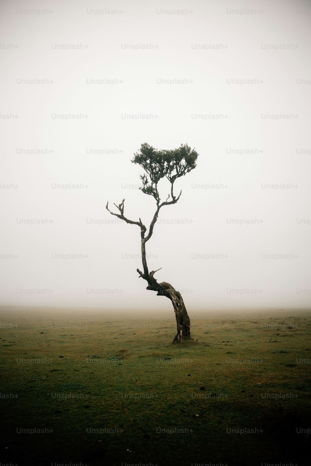 https://img3.utuku.imgcdc.com/650x0/culture/20250707/dc5937bd-b6c6-484f-8edb-7fb74ae2240a.jpg