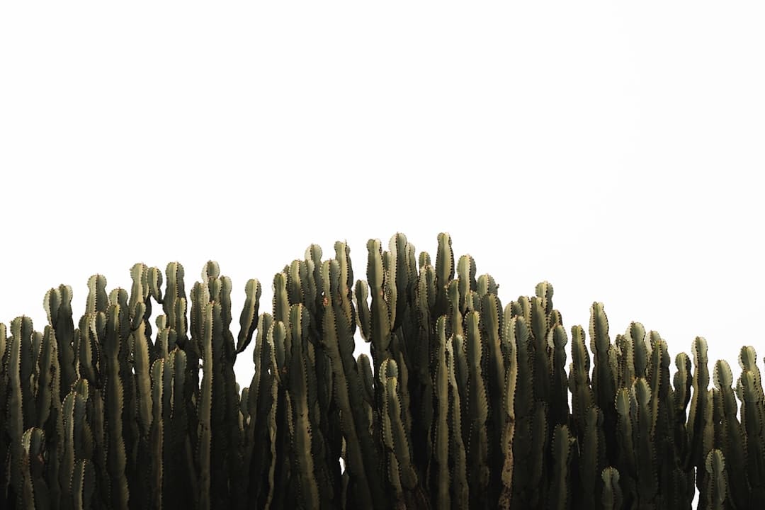 狠!爽!狂!欢!暑期仅有动作违法爽片《捕风追影》首映礼点着观众